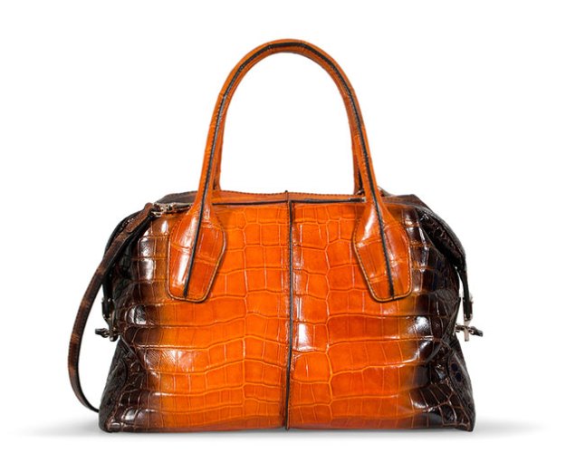 Tod’s Special Edition Fall-Winter 2012 “D Bag”