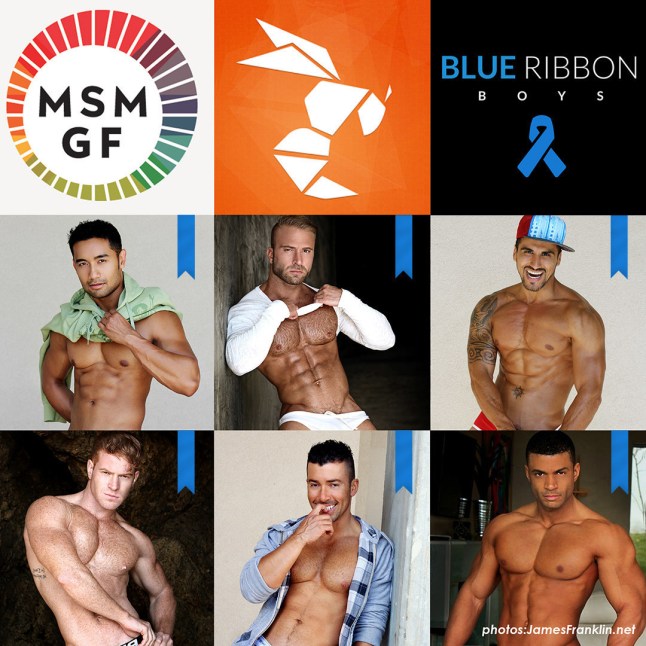 Find out more at BlueRibbonBoys.org (PRNewsFoto/MSMGF)